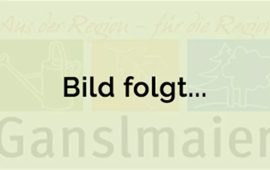 Bild folgt.png